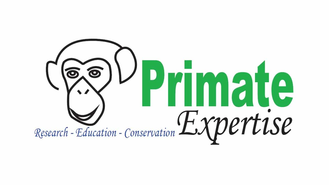 primate-expertise2